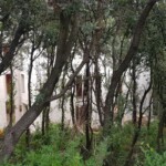 0af2ad11 8efc 43cb A132 2fea37f4af9c