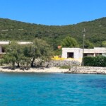 88f33619 11ca 44ea 9e0e Ab9929a8ed76